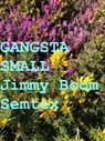 Gangsta Small - Jimmy Boom Semtex - 9798215395523
