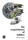 The Exquisiteness of Ladders - Declan Furlong - 9798215472699