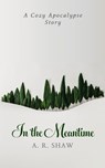 In the Meantime - A. R. Shaw - 9798215622087