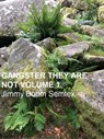 Gangster They Are Not Volume 1 - Jimmy Boom Semtex - 9798215739532