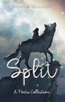 Split - Andrew Zellgert - 9798215780602