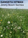 Gangsta Hitman - Jimmy Boom Semtex - 9798215848517