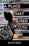 A Place That Used to Be - Brittni Brinn - 9798215905265