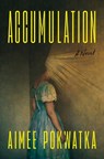 Accumulation - Aimee Pokwatka - 9798217047628