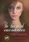 The Unexpected Encounter - Zibia Gasparetto ; By the Spirit Lucius - 9798223027812