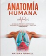 Anatomía Humana - Nathan Orwell - 9798223278009