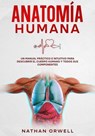 Anatomía Humana: Un Manual Práctico e Intuitivo para Descubrir el Cuerpo Humano y Todos Sus Componentes - Nathan Orwell - 9798223289333
