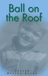 Ball on the Roof - Joseph Warren Brown - 9798223514169