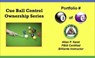 Cue Ball Control Ownership Series, Portfolio #8 of 12 - Allan P. Sand - 9798224670550