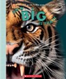 How Big Is That? a Life-Size Guide to the Animal Kingdom - Tom Jackson - 9798225056148