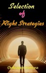 Selection of Right Strategies - chakrapani srinivasa - 9798227027665