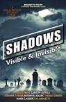 Shadows: Visible & Invisible - Catholic Teen Books - 9798227102805