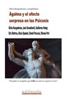 Ágalma y el efecto sorpresa en las Psicosis - Silvia Kargodorian - 9798227302335