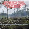 Deforestación: Un camino hacia la calamidad climática - Juan Carlos Gómez Méndez - 9798227969347