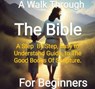 A Walk Through The Bi ble - From Genesis to Revelations A Step By Step, Easy to Understand Guide On The Good Books Of Scriptue - Matthew Davis - 9798230115083