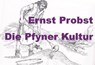 Die Pfyner Kultur - Ernst Probst - 9798230689911