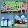 Haunting of the Florida Native - Russell Griffith - Chandler - 9798231570782