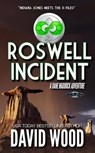 Roswell Incident - David Wood - 9798231997282