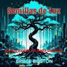 Semillas de Luz - Bruce Boston - 9798232196288