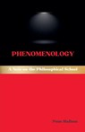 Phenomenology - Pons Malleus - 9798232433765
