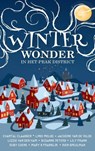 Winterwonder in het Peak District - Chantal Claassen ; Jacodine van de Velde ; Lindi Melse ; Lizzie van den Ham ; Lily Frank ; Suzanne Peters ; Mary K. Franklin ; Ruby Coene ; Rien Speulman - 9798232783372