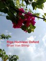 Riga Hornisse Oxford - Brian Von Blimp - 9798233675508