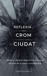 Reflexia unui crom ciudat : Reflecții despre absoluturi, limite și refuzul de a lua în considerare - Leslie Cunningham - 9798235997752