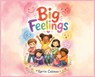 Big Feelings - Karrin Coleman - 9798256026394
