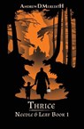 Thrice - Andrew D Meredith - 9798295877568