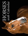 Horses 2026 Calendar - B. Patrick - 9798330229444
