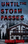 Until the Storm Passes - Ashley Bundy - 9798330438396