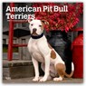 American Pit Bull Terriers 2026 - 16-Monatskalender -  - 9798330702091
