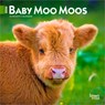 Baby Moo Moos 2026 7 X 14 Inch (Hanging) Monthly Mini Wall Calendar -  - 9798330702275