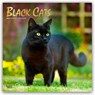Black Cats 2026 Square Flap Foil Calendar -  - 9798330702480