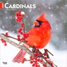 Cardinals 2026 12 X 24 Inch (Hanging) Monthly Square Wall Calendar Plastic-Free -  - 9798330702749
