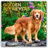 Golden Retrievers - Golden Retriever 2026 - 16-Monatskalender -  - 9798330703494