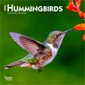 Hummingbirds 2026 7 X 14 Inch (Hanging) Monthly Mini Wall Calendar -  - 9798330703791