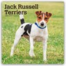 Jack Russel Terriers - Jack Russel Terrier 2026 - 16-Monatskalender -  - 9798330703975