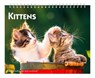 Kittens 2026 7.5 X 6 Inch Monthly Double-View Easel Desk Calendar -  - 9798330704118