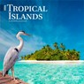 Tropical Islands 2026 7 X 14 Inch (Hanging) Monthly Mini Wall Calendar -  - 9798330705986
