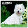 West Highland White Terriers - Westhighland White Terrier - Westies 2026 - 16-Monatskalender -  - 9798330706280