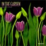 In the Garden 2026 Square Flap Brush Dance Calendar -  - 9798330706525