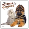 Kittens & Puppies 2026 Square Plato Foil Calendar -  - 9798330706815