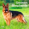 German Shepherds 2026 7 X 14 Inch (Hanging) Monthly Mini Wall Calendar -  - 9798330707690