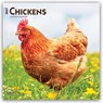 Chickens 2027 12 X 24 Inch (Hanging) Monthly Square Wall Calendar Plastic-Free -  - 9798330711871
