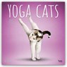 Yoga Cats - Katzen Yoga 2027 - 16-Monatskalender -  - 9798330713509