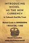 Introducing Nickel As The New Currency - David Gomadza - 9798334115590