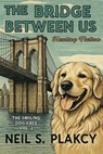 The Bridge Between Us: Healing Fiction - Neil S. Plakcy - 9798349329876