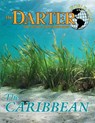 The Darter - Micah Issitt - 9798349357879