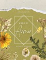 Word of Armor - Amy Jean White - 9798349417054